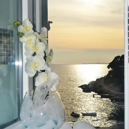 Apartmán Toni Primošten