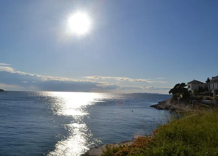 Toni * פרימוסטן