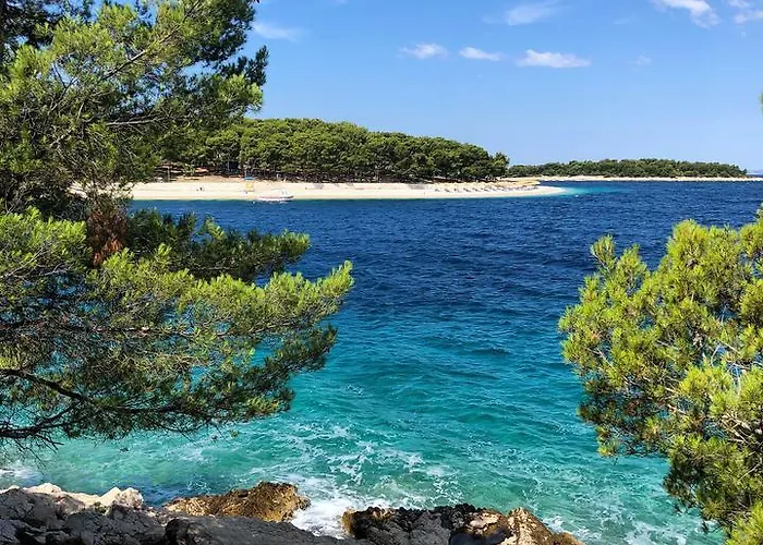 Toni פרימוסטן