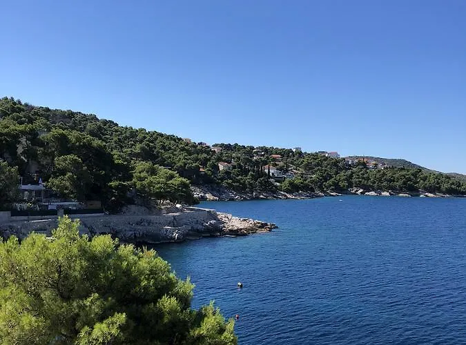 Toni פרימוסטן